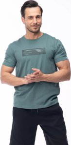 Męska Koszulka z krótkim rękawem HAMILONI 4