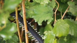 Bosch Nożyce akumulatorowe UniversalHedgeCut 18V-55 55 cm (0600849J00) 4