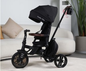 Qplay Comfo Rowerek trójkołowy Max Black 15