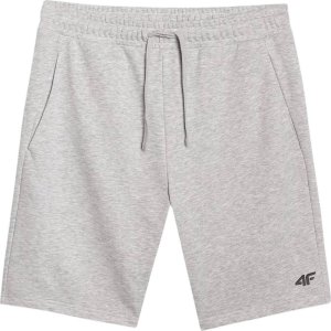 Spodenki męskie 4F CAS M543 szare 4FWMM00TSHOM543 27M 2XL 1