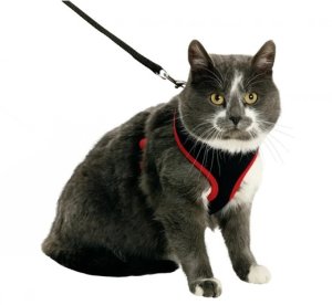 HARNESS CAT M KARLIE 110CM BLACK 2