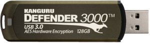 iStorage KDF3000-64G pamięć USB 64 GB 3.2 Gen 1 (3.1 Gen 1) Szary 1