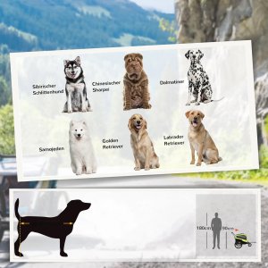 Przyczepka Rowerowa Dla Zwierząt Zielona 170x77x90cm PAKO D00-168V00GN 9