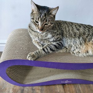 Mruu&Pruu DRAPAK LEON Fioletowy 3