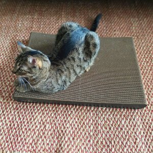 Mruu&Pruu DRAPAK KARTONOWY SIGMA Czarny szeroki 2