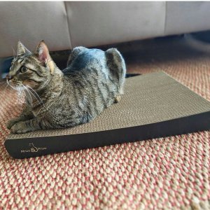 Mruu&Pruu DRAPAK KARTONOWY SIGMA Czarny szeroki 5