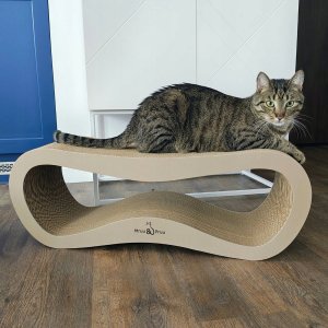 Mruu&Pruu Drapak Beżowy Leon Drapak Dla Kota Cappuccino 5