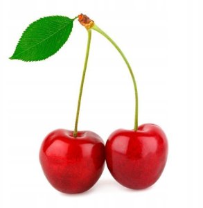 BOCIOLAND BOC0184-TERMOFOR MAŁY 180G      GROCHY SZARE 5