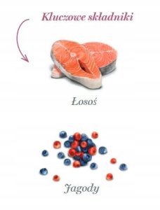 Amanova Dog Salmon Bites - łosoś 100g 1