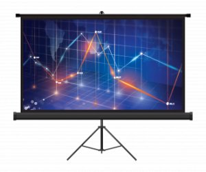 Ekran projekcyjny na statywie Camrock Matte T 100 2