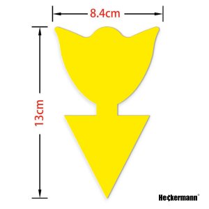 Lep do doniczek na owady, owocówki Heckermann 20szt 3