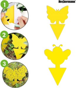 Lep do doniczek na owady, owocówki Heckermann 20szt 4