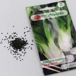 Kapusta Chińska Pak Choi 1 g Legutko 3