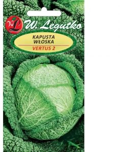 Kapusta Włoska Vertus 2 2 g Legutko 1