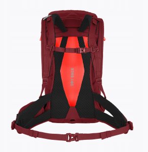 Plecak alp trainer 20 women-syrah SALEWA 2