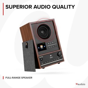 Radio internetowe DAB+/FM BT WIFI Canzo Audizio ciemne drewno one size 19