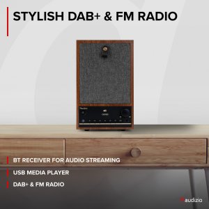 Radio internetowe DAB+/FM BT WIFI Canzo Audizio ciemne drewno one size 21