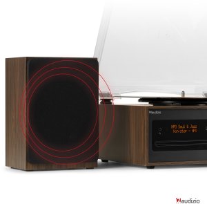 Gramofon retro Boston CD USB radio DAB głośniki Audizio one size 14