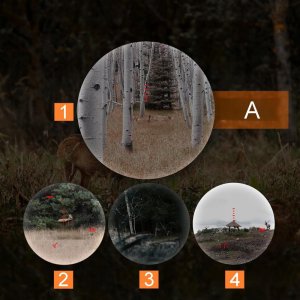 DALMIERZ LASEROWY LUPA GOLFOWA LORNETKA MYŚLIWSKA DO POLOWANIA ETUI ZOOM 6x 11