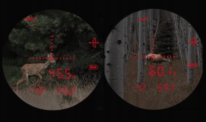 DALMIERZ LASEROWY LUPA GOLFOWA LORNETKA MYŚLIWSKA DO POLOWANIA ETUI ZOOM 6x 7