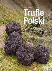 Trufle Polski 1
