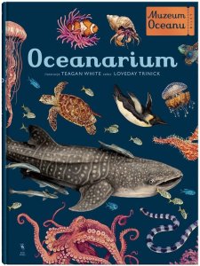 Muzeum Oceanu. Oceanarium 1