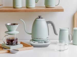 BUYDEEM Czajnik typu Gooseneck z regulacją temperatury, K821, kolor Cozy Greenish, EU 5