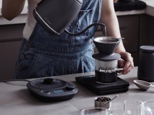 BUYDEEM Czajnik typu Gooseneck z regulacją temperatury, K821, kolor Ink Grey, EU 4