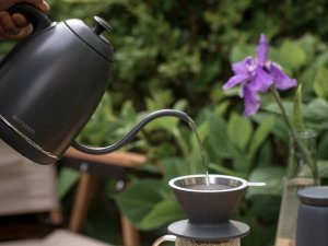 BUYDEEM Czajnik typu Gooseneck z regulacją temperatury, K821, kolor Ink Grey, EU 5