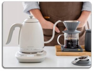 BUYDEEM Czajnik typu Gooseneck z regulacją temperatury, K821, kolor Oat White, EU 11