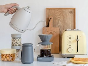 BUYDEEM Czajnik typu Gooseneck z regulacją temperatury, K821, kolor Oat White, EU 3