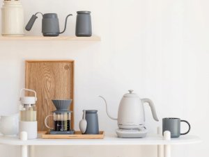 BUYDEEM Czajnik typu Gooseneck z regulacją temperatury, K821, kolor Oat White, EU 4