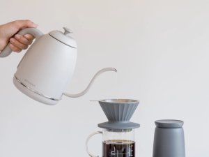 BUYDEEM Czajnik typu Gooseneck z regulacją temperatury, K821, kolor Oat White, EU 5