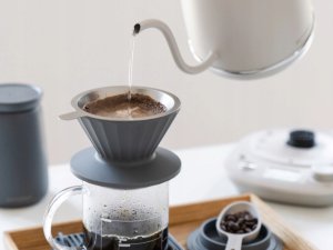 BUYDEEM Czajnik typu Gooseneck z regulacją temperatury, K821, kolor Oat White, EU 6