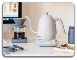 BUYDEEM Czajnik typu Gooseneck z regulacją temperatury, K821, kolor Oat White, EU 9