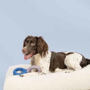 COOCKOO ZABAWKA DLA PSA GUMOWA DOODLE     FIOLETOWO/NIEBIESKA    /3/36 3