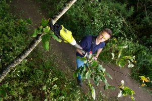 Sekator XXX_black & decker (Black&Decker) RY18PLA-0 nożycowy 3