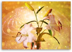 Feeby obraz na płótnie Lilia na żółtym tle 60x40 medium 3