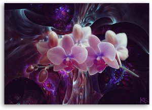 Feeby obraz na płótnie Biała orchidea na ciemnym tle 60x40 medium 3