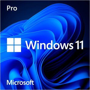 MS FPP WIN Pro FPP 11 64-bit German 1 License USB Flash Drive (DE) 1