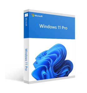 MS FPP WIN Pro FPP 11 64-bit German 1 License USB Flash Drive (DE) 2