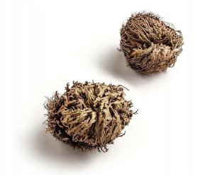 Pan i Pani Gadżet Róża jerychońska GADŻET 15