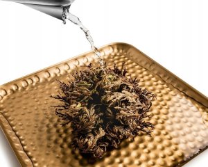 Pan i Pani Gadżet Róża jerychońska GADŻET 4