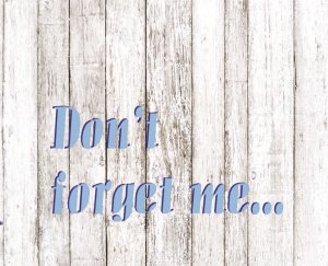 Niezapominajka w puszce 4