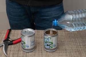 Niezapominajka w puszce 6