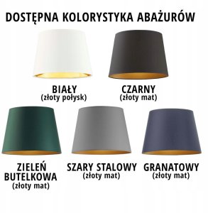 Kinkiet 2-punktowy AUSTIN GOLD lampa LED regulacja 2