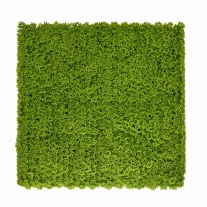 PANEL ZIELENI MECH 50X50 CM OGRÓD WERTYKALNY 1