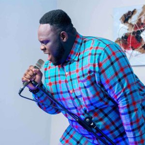 Mikrofon dynamiczny Vonyx DM57A one size 14