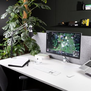 Zestaw mikrofonowy studyjny CMS300S tytan USB one size 11