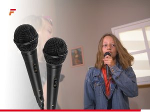 Głośnik Fenton Głośnik bluetooth karaoke z półkulą LED 15W BT 2 mikrofony one size 15